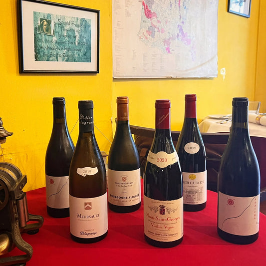 Wine Tasting at L'Angélus feat. Burgundy Wines