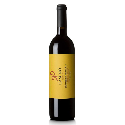 Dominio Romano, Ribera del Duero Camino Romano Red 2020